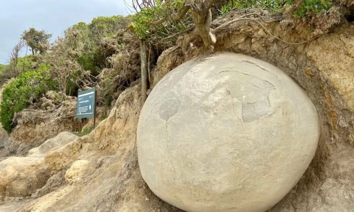 紐西蘭海岸的神秘球形巨石吸引眾多遊客