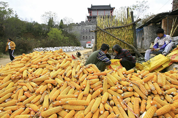 中國農產品生產消費數據 中美估算差異巨大