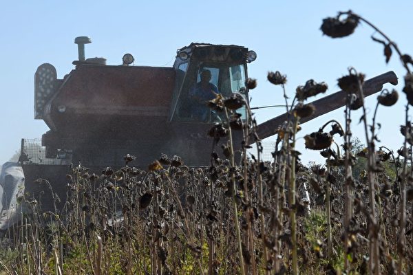 受戰爭影響 烏克蘭主要農產品出口需許可證