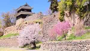 20年此消彼長:中國形象在澳洲墜落 日本強勢躍升