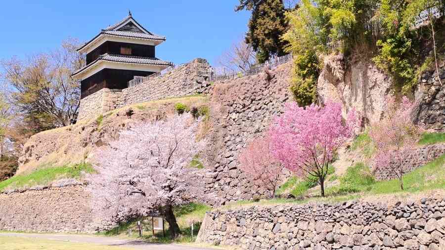 20年此消彼長：中國形象在澳洲墜落 日本強勢躍升