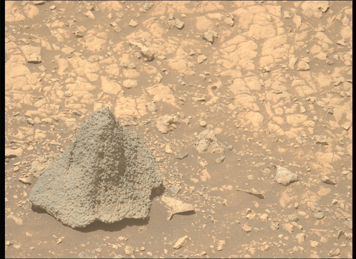 美國太空總署(NASA)「毅力號」(Perseverance)探測車於2025年8月5日利用左側桅桿相機-Z(Mastcam-Z)拍攝到這塊外形奇特的岩石。該岩石被科學團隊命名為「霍恩弗利亞」(Horneflya),表面覆蓋密集球粒,外觀酷似中世紀頭盔,引發外界對其成因的討論。(NASA/JPL-Caltech/ASU)