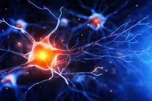 大腦在人成年後繼續生成新神經元的健康意義