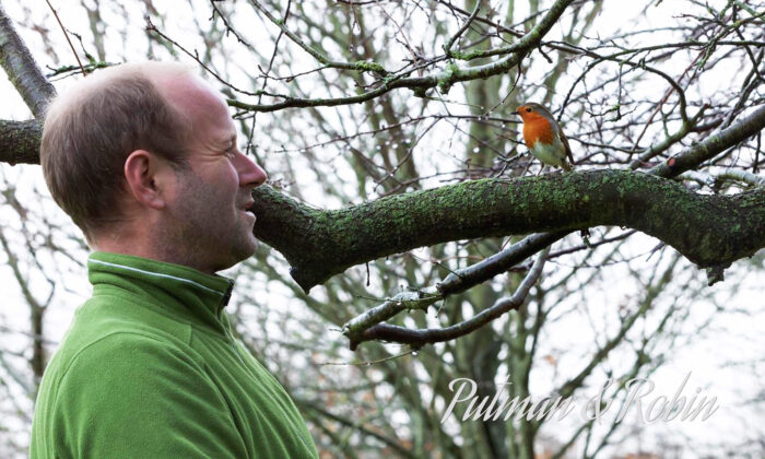 英國園丁與知更鳥之間的獨特友誼