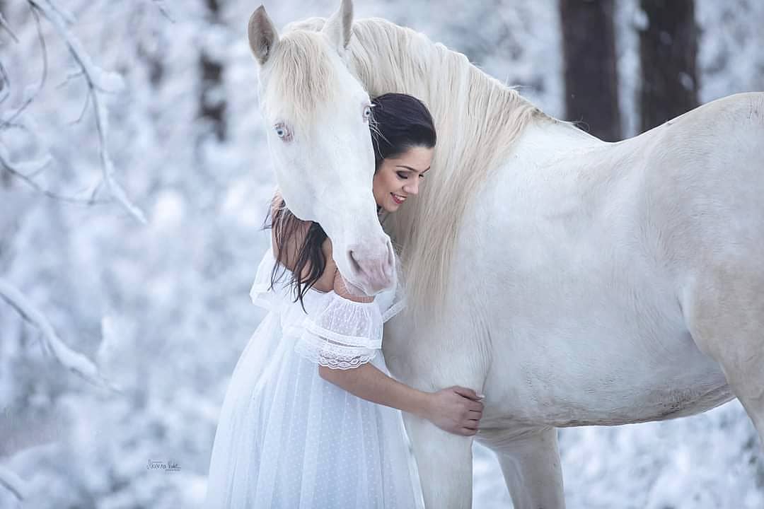 德國一位業餘攝影師熱衷於通過她的鏡頭記錄美麗的馬匹與牠們的主人之間的精彩瞬間。（Severina Roth Fotografie提供）