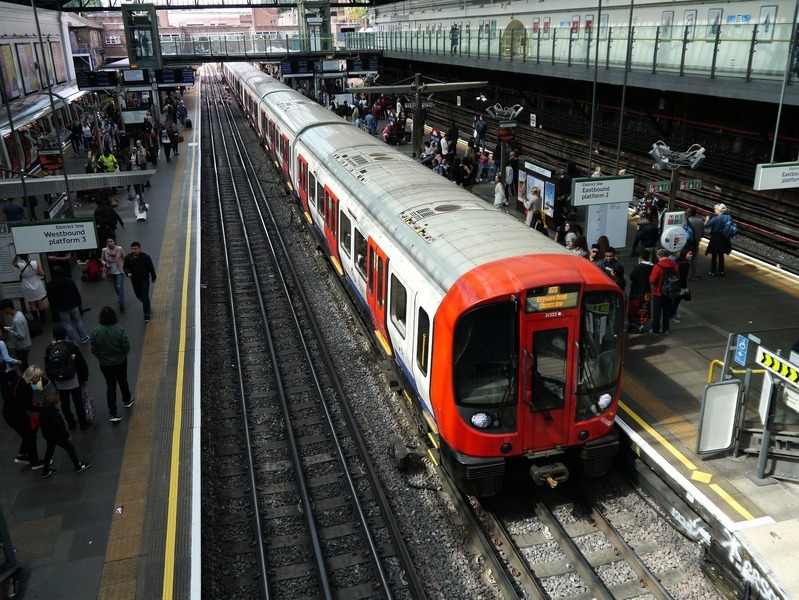天鵝靜坐倫敦鐵路軌上 多個班次遭延誤或取消