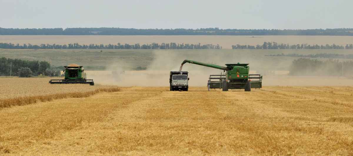 俄烏戰事影響兩國之穀物出口，恐引發全球糧食危機。圖為俄國小麥田。（DANIL SEMYONOV / AFP）