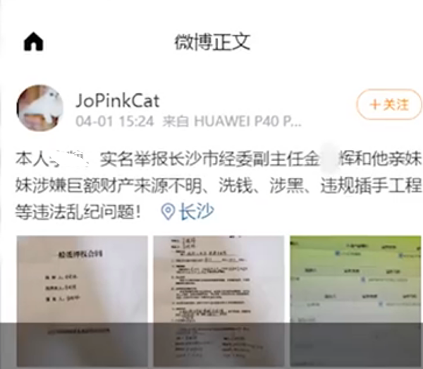 4月1日，網民「jopinkCat」在微博實名爆料稱，湖南省長沙市經委副主任金某輝和其妹妹涉嫌巨額財產來源不明等問題。（網絡截圖）