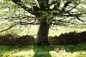 走過黎明前黑暗的年代（上）