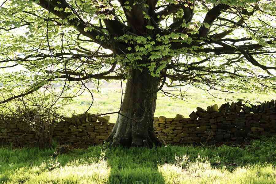 走過黎明前黑暗的年代（上）