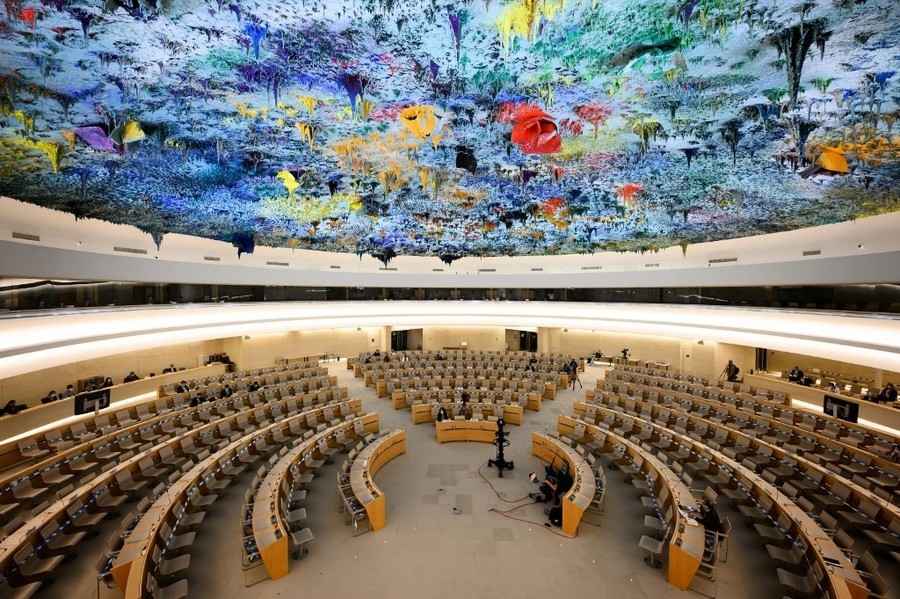 聯合國前官員：UN人權高官歧視某些組織