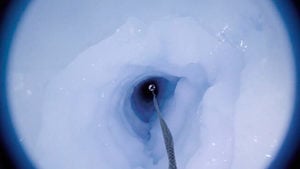 南極冰架900米深處 驚現海綿狀神秘物種