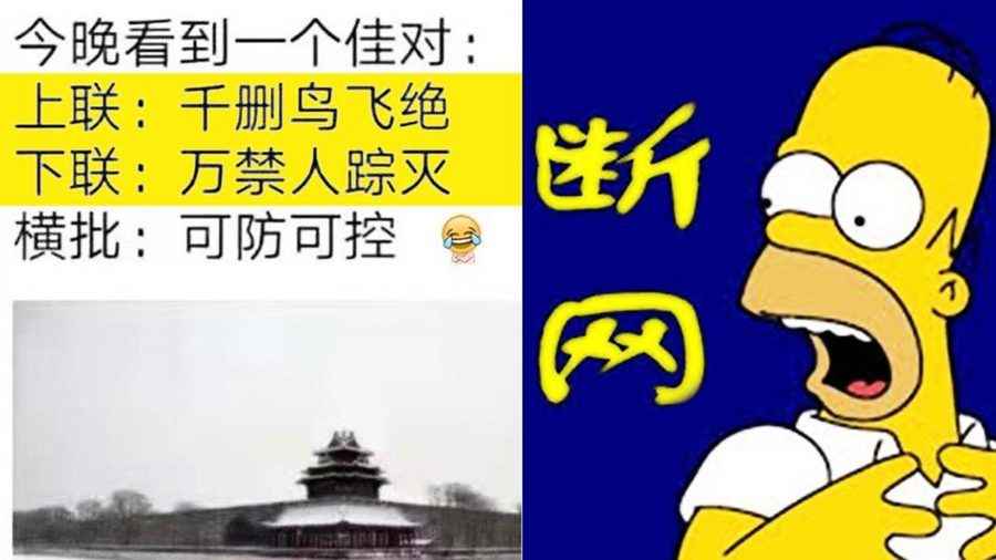 【熱點互動】中共肺炎病人肺移植 為權貴做實驗？