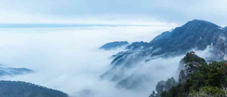 蘇軾與王安石詩中「歸處」之迥殊意蘊發微