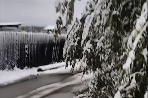 六月飛雪 內蒙古根河市一夜返冬白茫茫一片