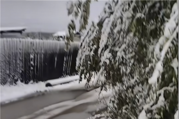 六月飛雪 內蒙古根河市一夜返冬白茫茫一片