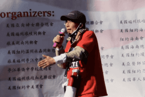 前紐約州眾議院華裔候選人被控電訊欺詐
