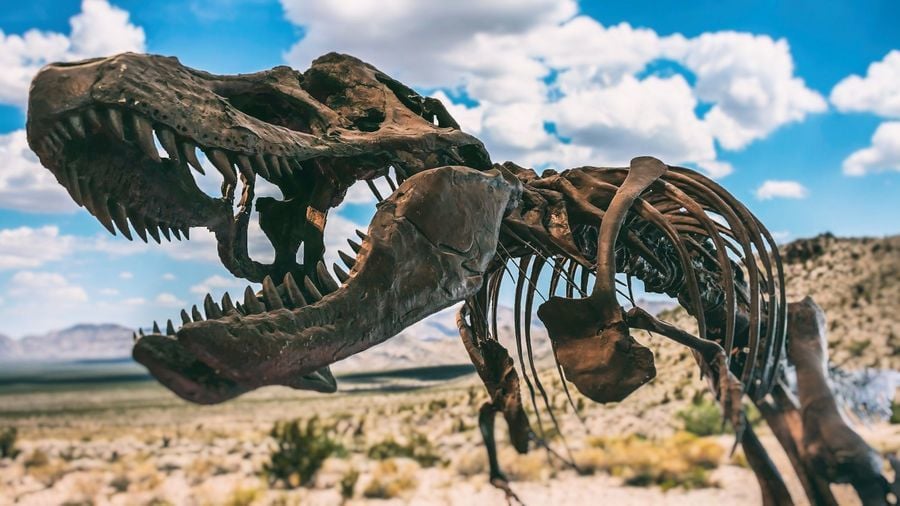 科學家發現恐龍時代新物種 進化論再遭質疑