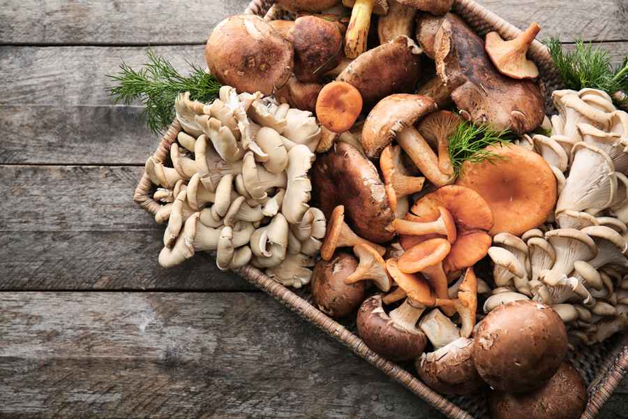 蘑菇品種多 吃蘑菇真的不能錯過這幾種
