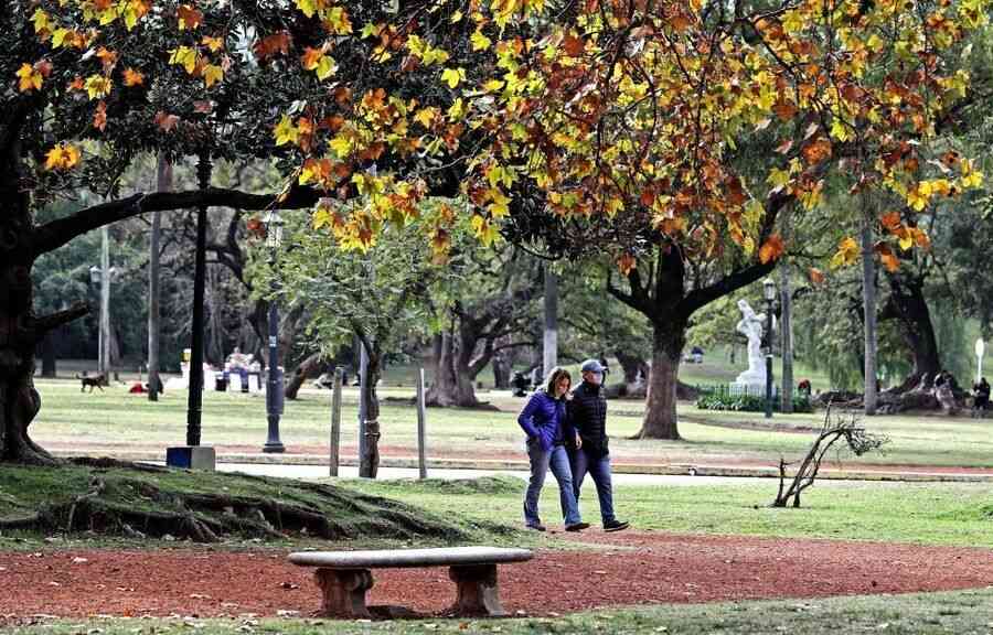 研究：漫步大自然聽鳥鳴聲 可提升幸福感