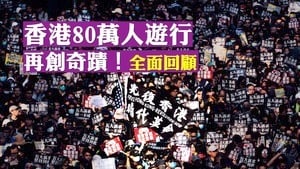 王友群：香港人抗爭半年的十項成果