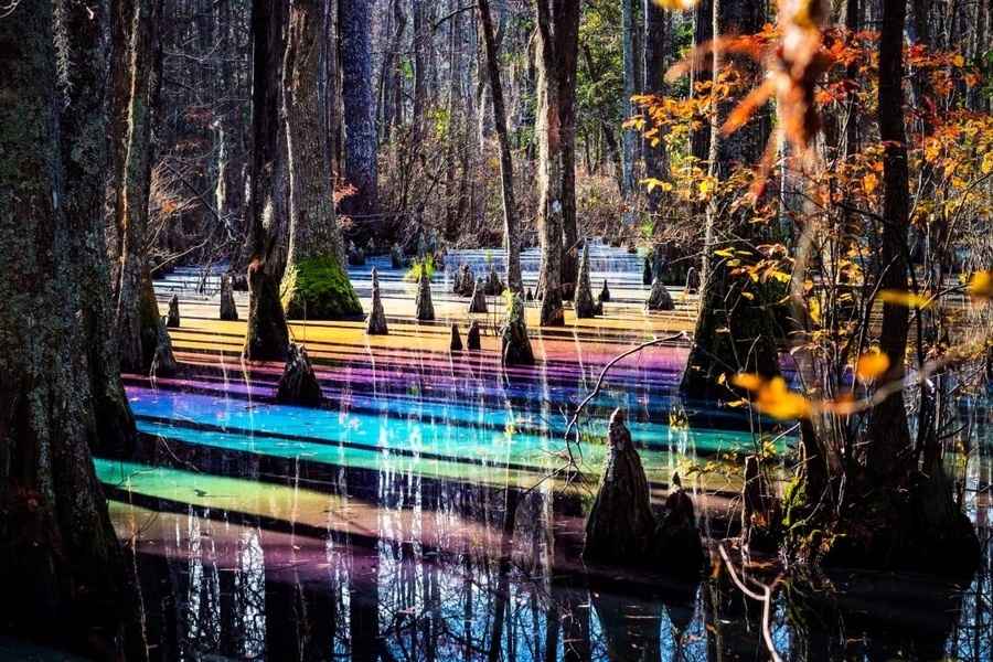【圖輯】美國維珍尼亞州公園的彩虹池「純屬天然」