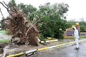 颶風襲擊牙買加 人工智能生成的假影片氾濫