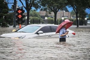 河南洪災 農田大範圍積水 花生粟米受災慘重