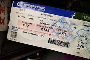 在天津機場被警察帶走 重慶訪民王治芬失聯