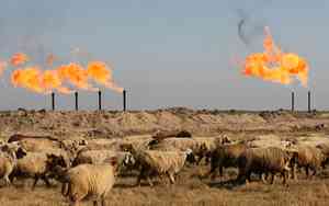 消息：OPEC+周六會議將考慮加快增產步伐