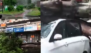 【影片】颱風米克拉登陸 福建漳浦等地狂風暴雨