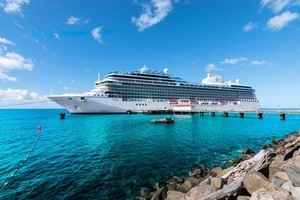 美退休女教師砸錢住遊輪 擬花15年環遊世界