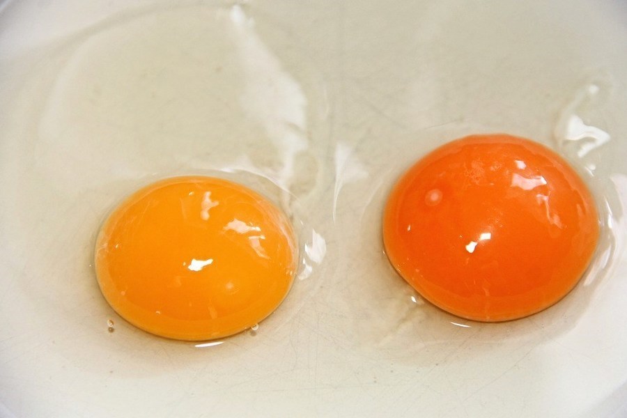 大陸高價土雞蛋秘密：蛋黃被添加劑染色
