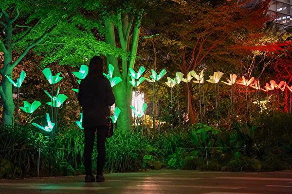 2023年11月13日,日本東京,虎之門燈光藝術展(Toranomon Light Art)期間,現場展示由意大利的工作室「依瑟和赫梅拉」(Aether & Hemera)創作的燈光藝術作品「乘著自由的翅膀」(On the Wings of Freedom)。(Christopher Jue/Getty Images)
