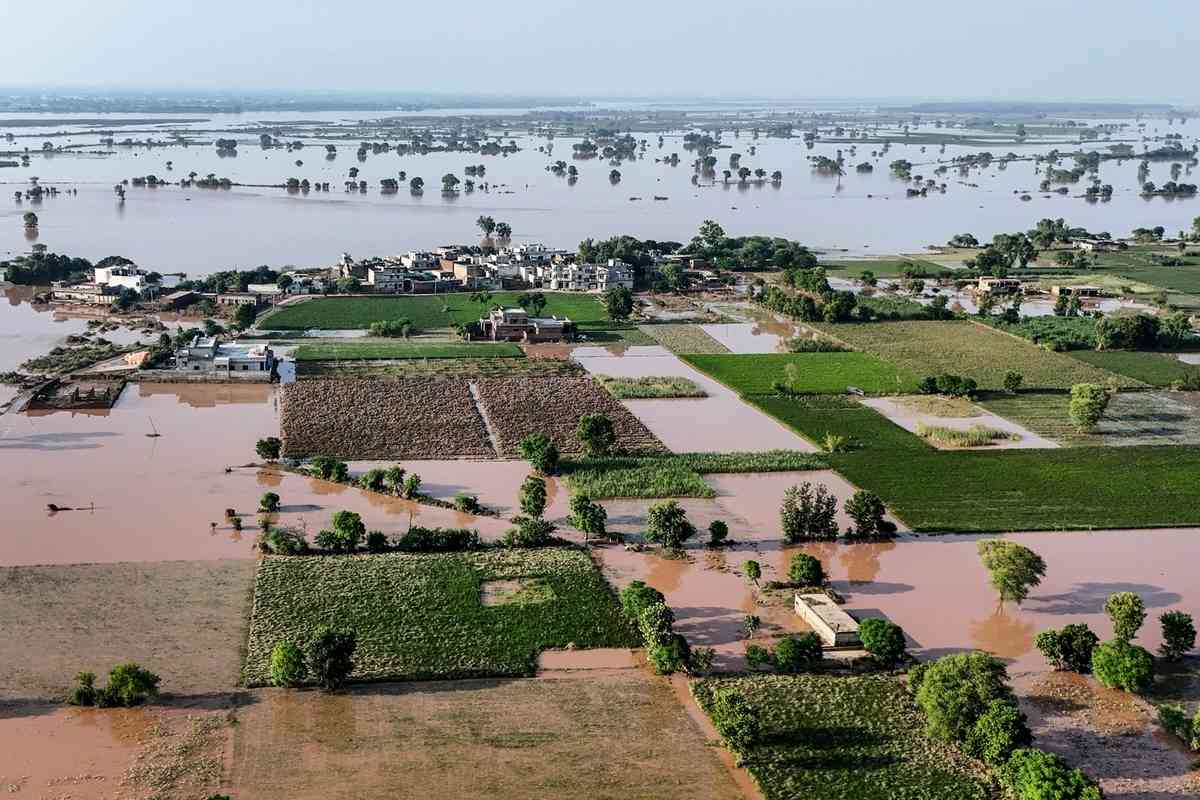 2025年8月28日,巴基斯坦旁遮普省沃濟拉巴德區(Wazirabad District)Chak Ali Sher村的大片農田被洪水淹沒。(Aamir Qureshi/AFP via Getty Images)