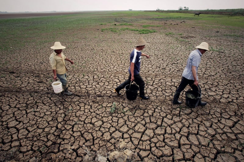 大陸農田土壤惡化嚴重 糧食自給率逐年下降