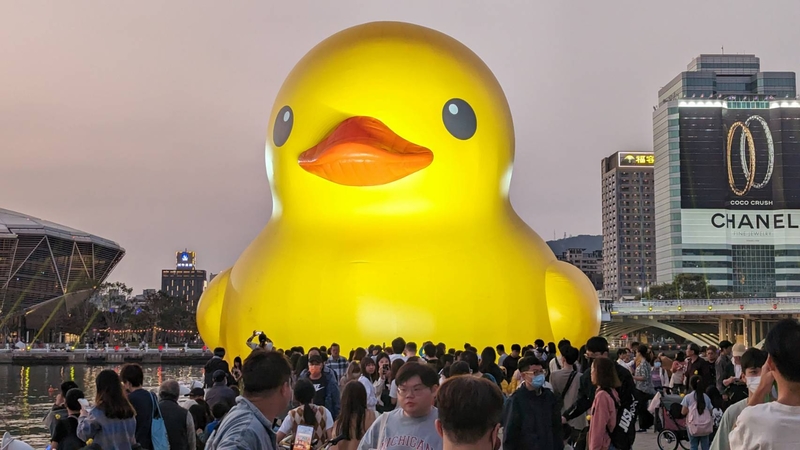 【圖輯】高雄黃色小鴨風潮 吸引逾四百萬遊客