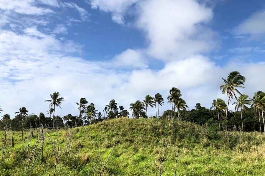 湯加古城遺址揭開太平洋古文明神秘面紗