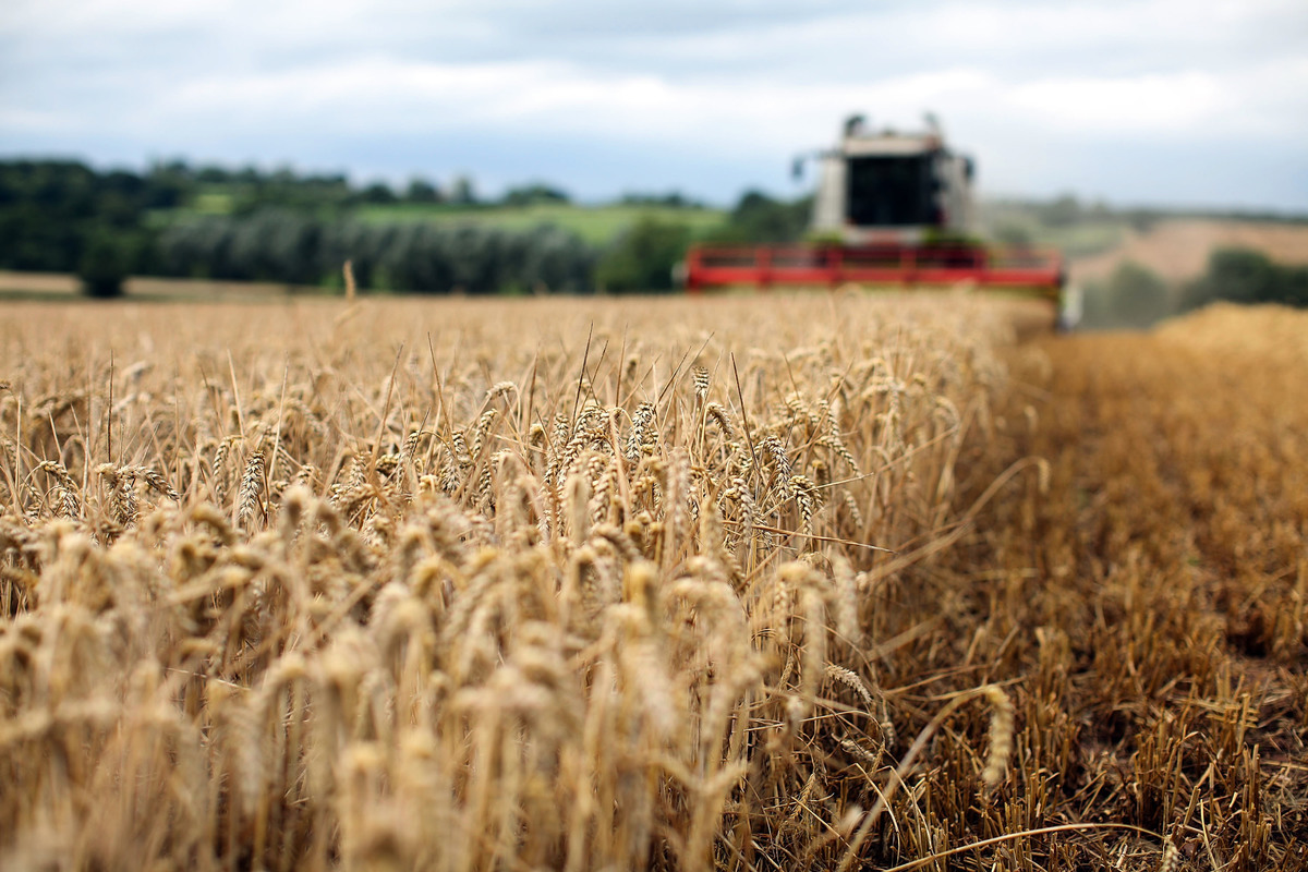 俄羅斯與烏克蘭緊張局勢加劇，導致全球糧食供應受到限制，小麥、粟米和大豆的價格大幅上漲。（Christopher Furlong/Getty Images）