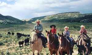 10萬英畝土地的家庭牧場 150年來堅持傳統