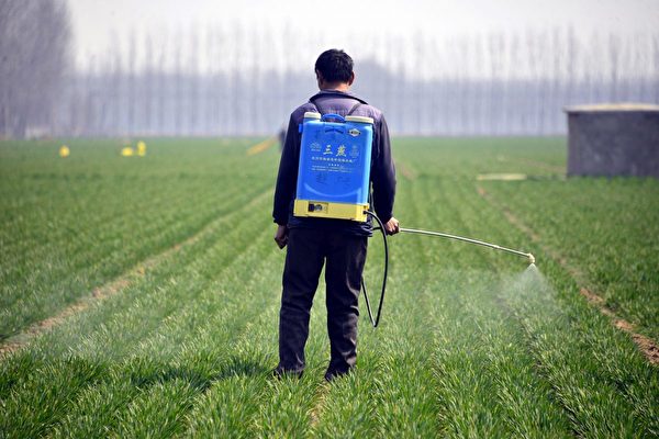 一名中國農民在山東省聊城市茌平區的麥田裡噴灑農藥。攝於2017年3月15日。（STR/AFP/Getty Images）