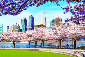 2026紐約最佳賞花地點與活動指南