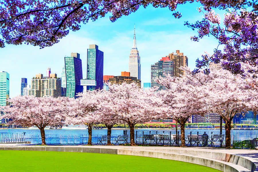 2026紐約最佳賞花地點與活動指南