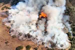 科學家開展峽谷火災研究 以預測未來極端野火