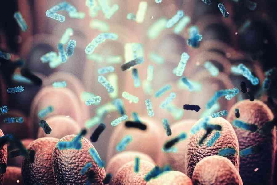 腸躁症不再神秘：呼氣測試找出精準治療方向