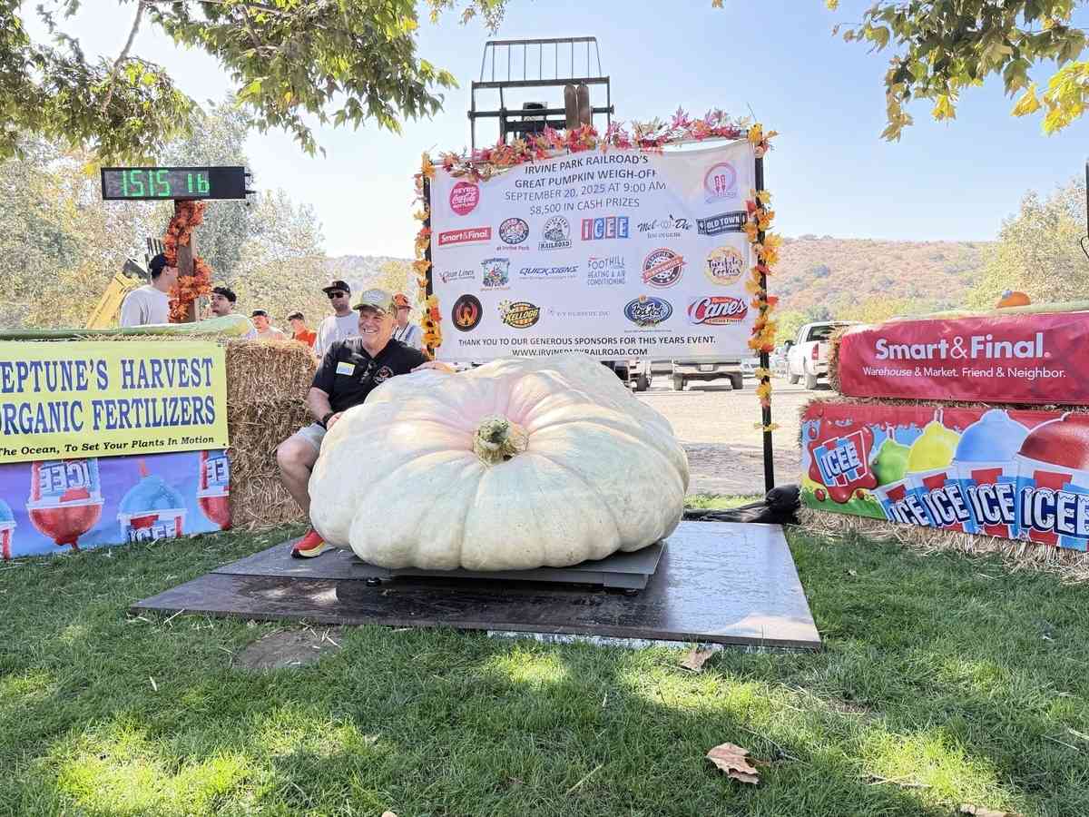 2025年9月20日,第10屆年度種植南瓜稱重大賽(Great Pumpkin Weigh-Off)在爾灣地區公園(Irvine Regional Park)舉辦。圖為來自橙縣的米申維耶霍(Mission Viejo)市凱文·多納休(Kevin Donahue),他的南瓜重1,515磅。(李梅/大紀元)