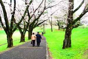 清明節怎樣成為掃墓節?