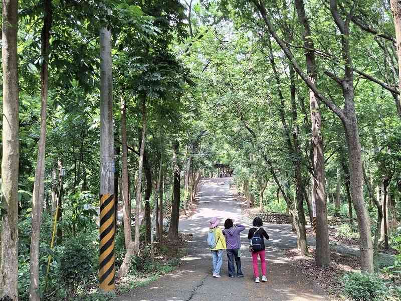  炎夏到森林避暑 療癒身心靈