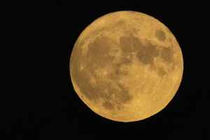 超級月亮將連續兩次登場  8月2、31日舉頭望「鱘魚月」