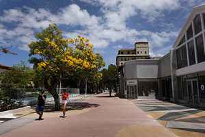 美佛州中共病毒個案創新高 7月4日單日逾萬宗